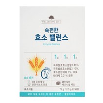 웰빙라이프 속편한 효소 밸런스75g(2.5gx30포)