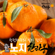 (제주메누리농장) 최상품 당도 노지 한라봉 중과 소과 벌크포장 10kg, 1박스, 중과10kg