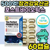 비피더스 유산균 프락토올리고당 먹이 보장균수 500억 식약처인증 포스트바이오틱스 장에좋은 장건강 영양제 40대 50대 60대 중년 노년 온가족 패밀리 추천 과민성 대장 장누수 추천