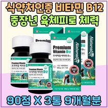식약처인증 비타민 B12 중장년 육체피로 체력 유지 소모 Vitamin 비 중년 노인 단백질 대사 피로회복 무기력 전연령 엽산 대사 자도자도피곤 패밀리 에너지 업 대용량 70대 80대