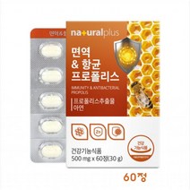 프로폴리스 추출물 츄어블 정제 플라보노이드 아연 면역 구강 항균작용 입속유해세균 사양벌꿀 로얄젤리 환절기 건강관리 추천