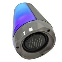 Rofani 블루투스 스피커, Gray, TS100