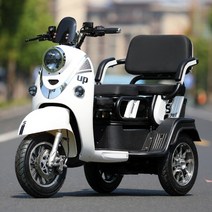 세발 전동 오토바이 삼륜바이크 출퇴근용 성인용 동네마실용 노인오토바이 여자스쿠터 3발, 72V 이상, 차량(배터리및충전기없음-앞디스크-뒤드럼)
