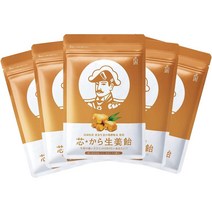 Morishita Jintan Kara Ginger Candy 모리시타 진탄 카라 진저 캔디 목캔디 48g 5팩