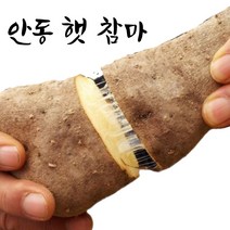 엄마네곳간 안동마 당일선별, 1박스, [장마] 상품 1kg