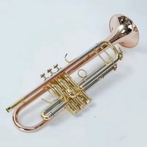 미국 바흐 트럼펫 LT180S-37 골드 구리 실버 도금 trompete, 05 YELLOW