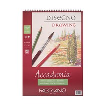 파브리아노 아카데미아 스프링 AP01 A5 200g, 1개