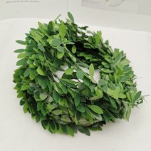 3.75M 150 인치/pcs 실크 화환 녹색 잎 철 와이어 인공 꽃 포도 나무 웨딩 카 장식 DIY, 01 2