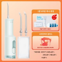 F300 최신형 휴대용 MEO703 물칫솔 미지아 노즐포함 구강세정기, 충치기-그린