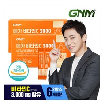[총 6개월분] 메가 비타민C 3000 90포 X 2박스 / 비타민씨 분말 가루, 상세설명 참조, 01.단일상품