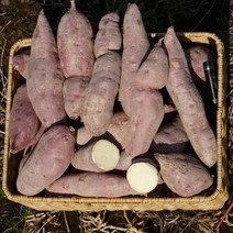 고구마10키로 해남 밤고구마 다이어트 군고구마 강아지 간식 3kg 5kg 10kg, 한입 3kg