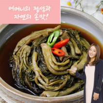 전라도 여수 돌산 갓피클 김치 1kg 3kg 갓 장아찌 곽진영의 종말이 푸드 국내산 실비김치 감칠맛 김치반찬 주문
