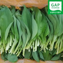 [맛없음반품] 입맛부메랑 2024년 명이나물 산마늘, 1세트, 1kg