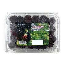 복분자(냉동)/500g/팩/국산