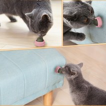 고양이 캣닢 고양이간식 마약캔디 사탕 스트레스해소 캣잎 롤링 캔디볼, 화이트
