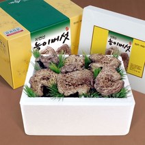 [아이원세븐] [송림山속] 강원도 자연산 능이버섯 1kg/8~15뿌리, 1개
