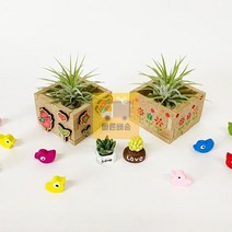 택1)_우드_[초등저]_만들기(1인용 _이오난사_미니화분_5인용 804C, 4. 5인용 스텐실 미니화분