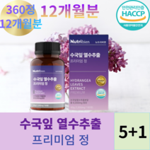 수국잎열수추출 이너뷰티 저분자콜라겐 피부 다이어트 관리 수국잎 프리미엄정 식약처HACPP인증, 60정, 6박스