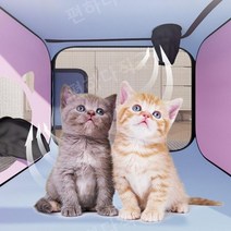 강아지 에어탱크 대형견 저소음 애견 털말리기, A 무소음 건조기 세트