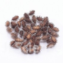 (초등4학년2학기) 도꼬마리열매 50개입 (KSIC-0869)