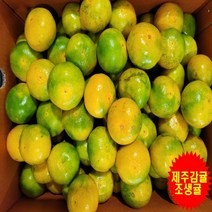 [프레시푸드마켓] 제주하우스감귤 조생귤 1.5KG 2.5KG 5KG 10KG