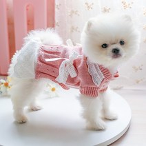 강아지 옷 봄가을 요크셔테리어 비숑 스웨터 공주 스커트 강아지 펫 고양이 강아지 소형견, XL, A