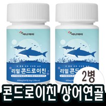 60정x2병 콘드로이친 보스웰리아 초록잎홍합 히알루론산 1200 산화마그네슘 캡슐 +알약케이스