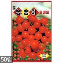 보라색 가지고추 10립 - 고추씨 고추씨앗 씨앗 씨 가지 고추 보라색고추 주말농장 텃밭, 09_송송이방울토마토(50립)