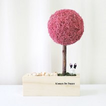 스칸디아모스 인테리어 편백나무화분, 07_씨클라멘