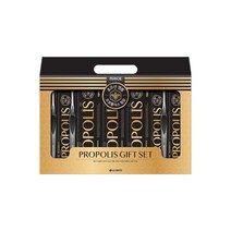 LG선물세트 프로폴리스 기프트세트, 2개, 160g