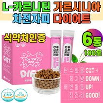 l-카르니틴 다이어트보조제 엘 카르티닌 l 카르틴 체지방감소 카르틴 차전자피 가르시니아 알로에 뱃살 허벅지 팔뚝살 중년뱃살 복부지방 6통