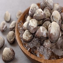 보성 벌교 참꼬막 새꼬막 1kg 꼬막제철 자숙 꼬막살, 어른꼬막1kg(80개내외), 1개