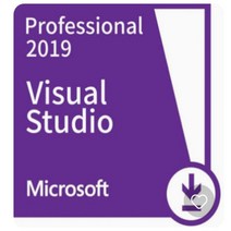MS Visual Studio Professional 2019 License (기업용 영구용)