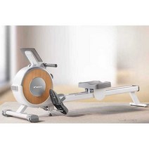 로잉머신 크로스핏 노젓기 운동기구 실내 조정기계, 펄 화이트  220캐티 하중 지지 16단 제어