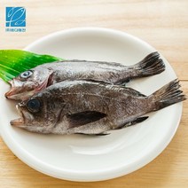 통영 쫄깃 담백한 대사이즈 손질우럭300g이상x2미(600g이상), 600g(2미), 1개