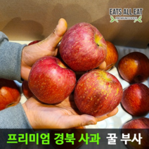 이츠올릿 경북 안동 부사 꿀 사과 5kg 정품 중과 16-18과 청송 문경 장수 밀양 얼음골 못난이