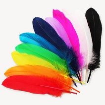 날개깃털-대-깃털/깃털장식/깃털재료/깃털펜/날개, 날개깃털(대)-No.04(보라), 1