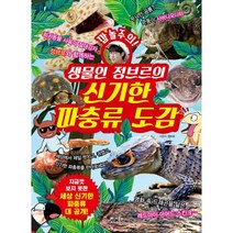 생물인 정브르의 신기한 파충류 도감 : 세상 신기한 파충류 대 공개!, 베가북스