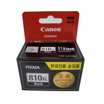 캐논 PIXMA MP497 정품잉크 대용량 검정 15ml (PG-810XL), 1개