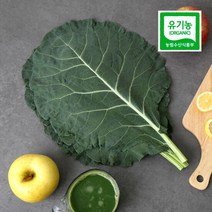 자연에서바로 친환경 유기농 케일 즙용 1kg, 단품