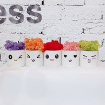스마일컴퍼니 북유럽 이끼 5색 모스 세트, 이모티콘