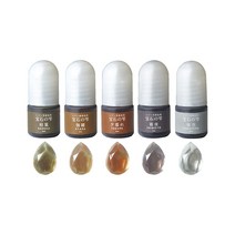 파디코 레진 착색제 조색제, 5종 세트 - 사기리 3ml