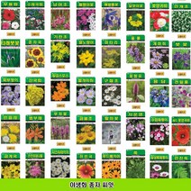 야생화종자 씨앗 부용화 패랭이꽃 타래붓꽃 벌노랑이 쑥부쟁이 벌개미취 민들레 금불초 금계국 야생과꽃 개미취 꽃아마 용담 큰꿩의비름 춘자국 마타리 산국화 샤스타데이지 꿀풀 기린초, 인진쑥씨앗1000립