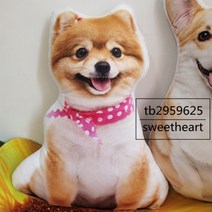 3D프린팅 고양이와 강아지 쿠션 자동차쿠션 인테리어 소품, 포메라니안
