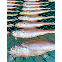 국내산 목포 조기 반건조 참조기 5마리, 참조기(중)5마리