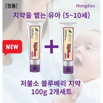 [본사정품] 저불소 몽디에스치약 100g x 2개세트 치약을뱉는유아 몽디에스 블루베리 베이비치약 저불소 몽디에스 패밀리치약 몽디에스저불소키즈 10살치약, l세트(2개)