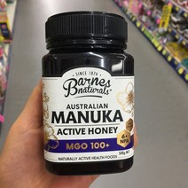 Barnes Naturals Manuka Honey 반스 네츄럴 호주 마누카꿀 500g MGO 100+, 1개