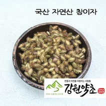 창이자200g (국산 자연산) 도꼬마리 볶은 창이자 신이화 유근피 창이자분말 독고마리 작두콩 느룹나무, 국산창이자200g