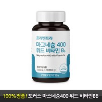 프리벤트라 포커스 마그네슘 400 위드 비타민B6, 90g, 1개
