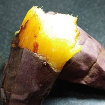 [자연품애]해남 꿀고구마 10kg 못난이, 1개